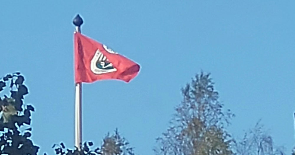 En mystisk flagga i skogen visar sig vara hockeylaget Västra Frölundas nya logga. Foto: Björn Björkqvist
